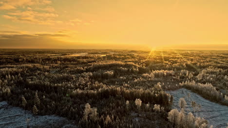 a smooth aerial shot zooming out from a horizon over pine forests and fields covered with fresh snow