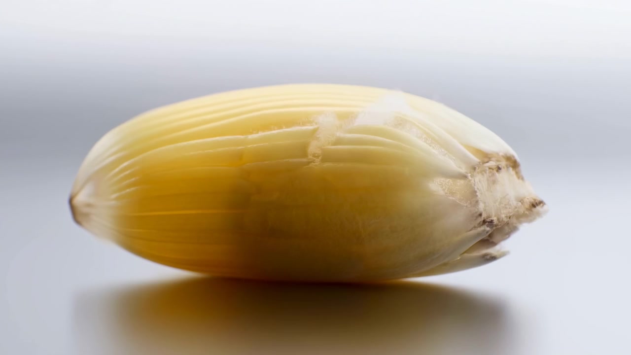 Un singolo chicco di mais poggia su una superficie riflettente grigia da studio sotto una luce soffusa dall'alto, poi ruota e si rompe in amido bianco soffice, rivelando texture, frammenti e un'ombra sottile.