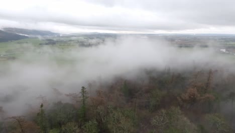 static shot of fog enclosing the forest below the wallace monument in stirling