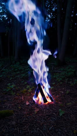 mystical night campfire in the woods