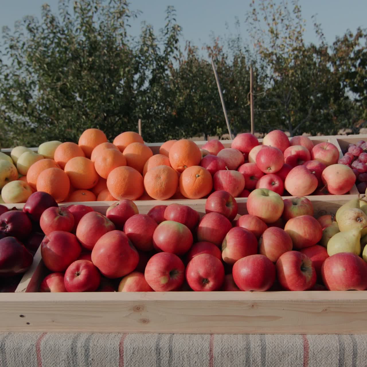 Frutta matura sul bancone del mercato contadino 3