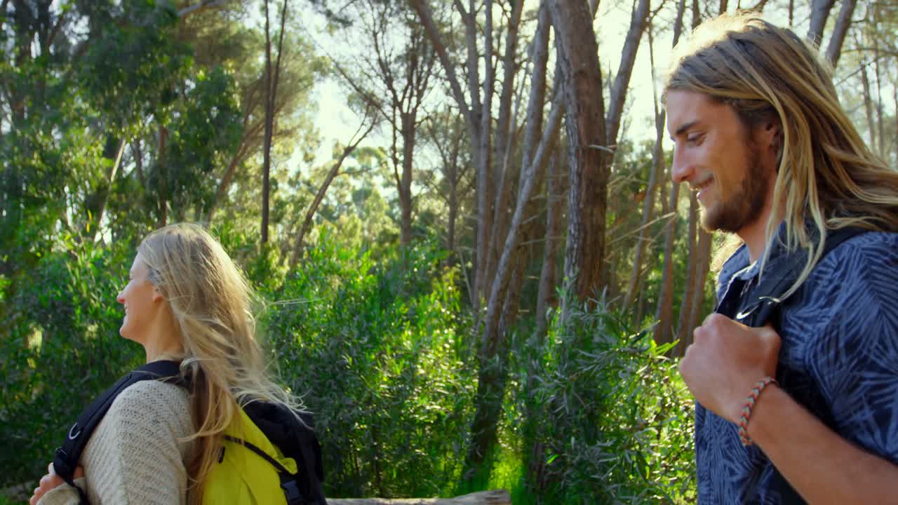 숲에서 산책하는 행복한 젊은 부부 4k