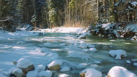 4k uhd aerial drone flight moving along a frozen mountain river in a forest with snowy tree tops in the bavarian alps in winter in germany, close to austria