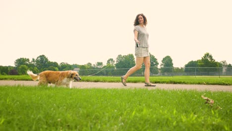 girl owner walking dog on leash in beautiful green park