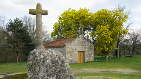 Vista-Estática-De-Una-Cruz-Redonda-Tallada-En-Piedra-Cubierta-De-Musgo-Frente-A-La-Capilla-De-San-Vitoiro-Con-Un-árbol-Amarillo