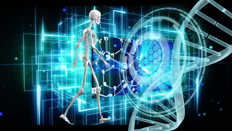 animation of digital skeleton model over dna strand and scope scanning on black background