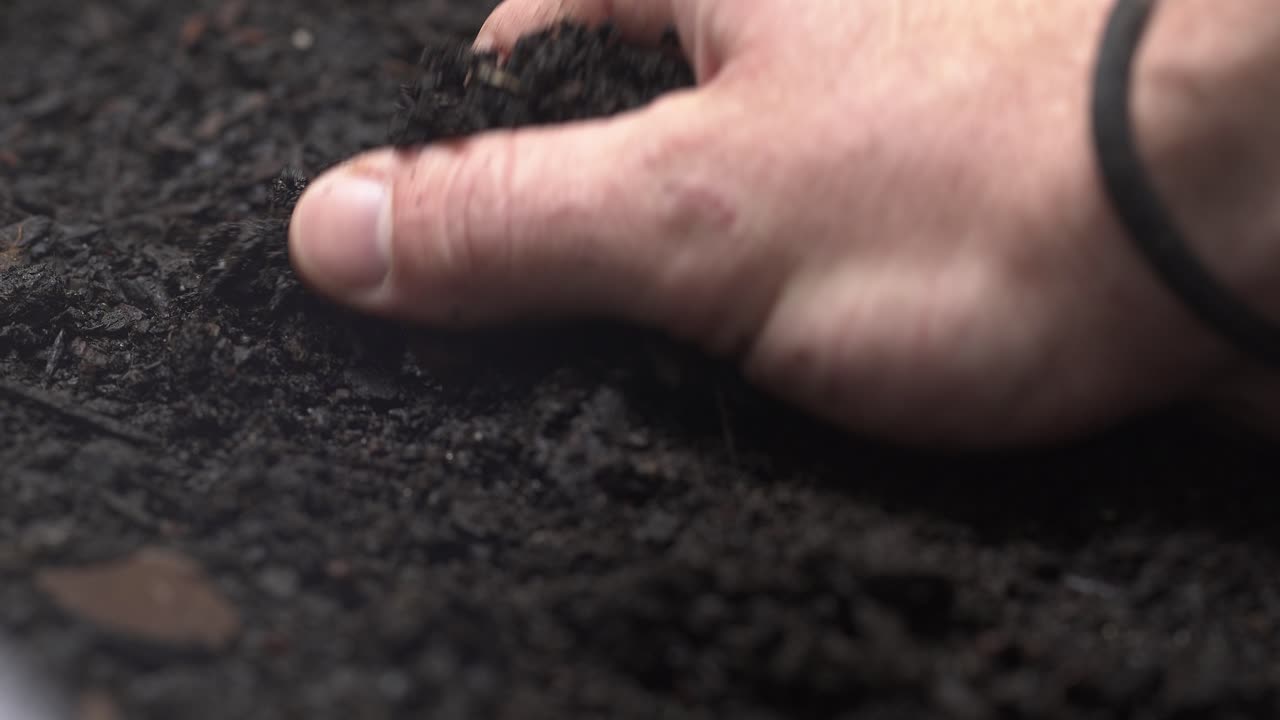 Primo piano della mano di un contadino che sente il terreno, 4K