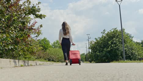 attractive young businesswoman on work trip, back view