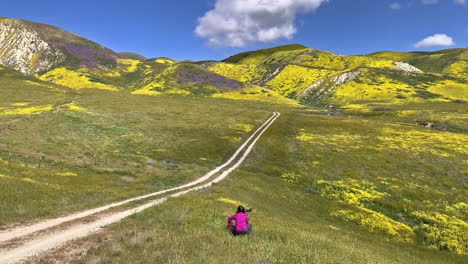 Carrizo-Plain-Road-Y-Mujeres-Con-Flores-Amarillas-Amarillas-Superfloración-De-Flores-Silvestres-De-California