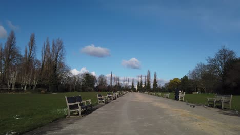 Regents-Park-London-Hauptweg-Gesäumt-Von-Bänken