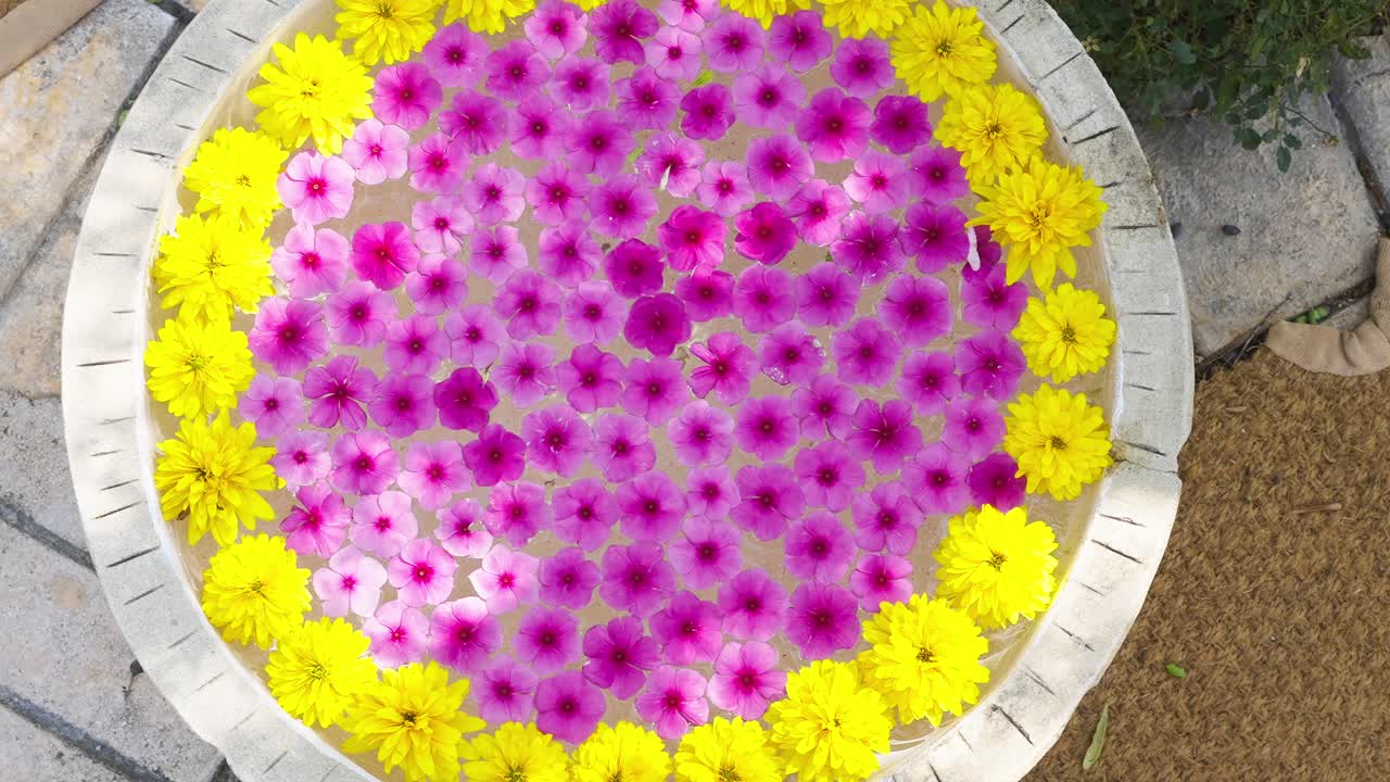 Lenta ripresa in dolly di vivaci fiori viola e gialli che galleggiano in una fontana da giardino