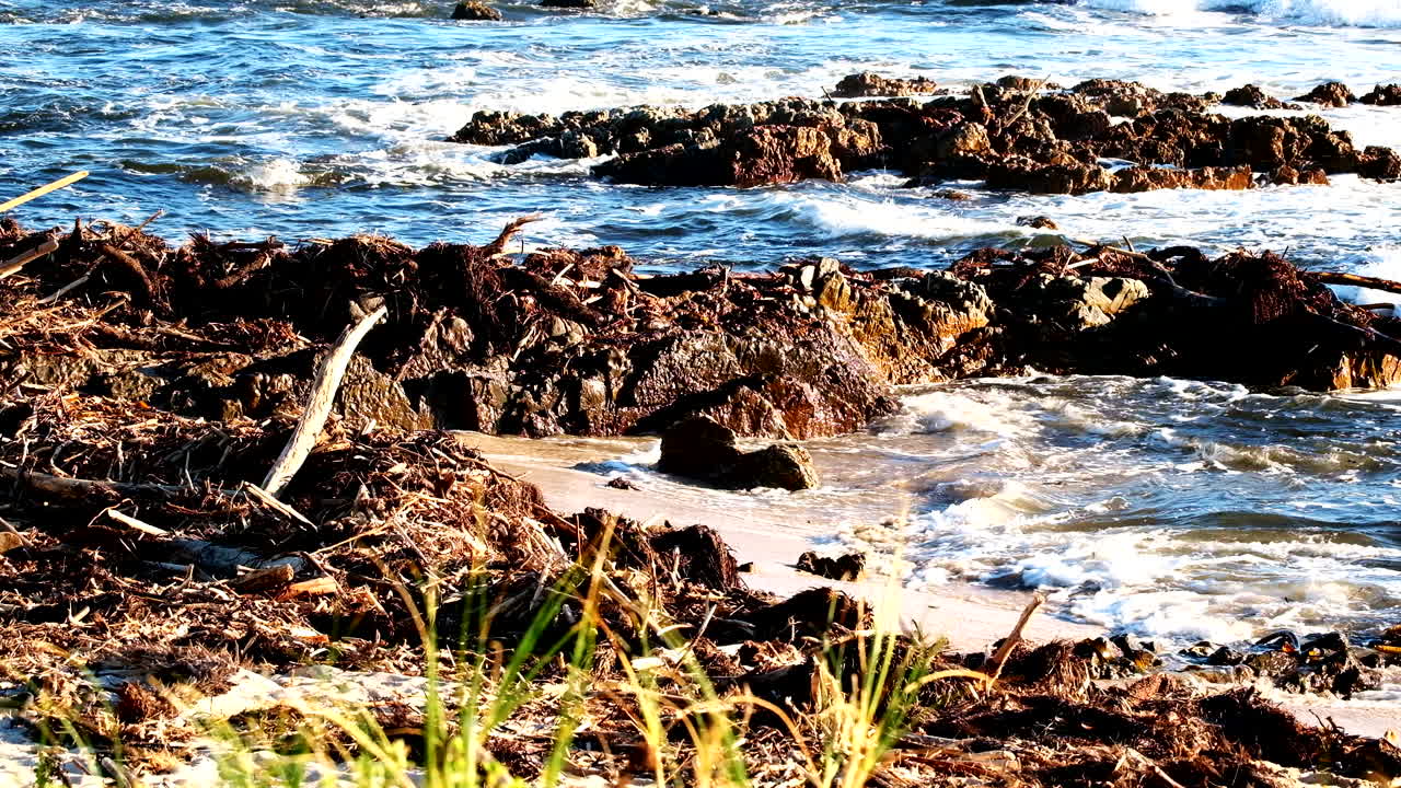 madera a la deriva y otros escombros naturales depositados en la playa después de una gran tormenta