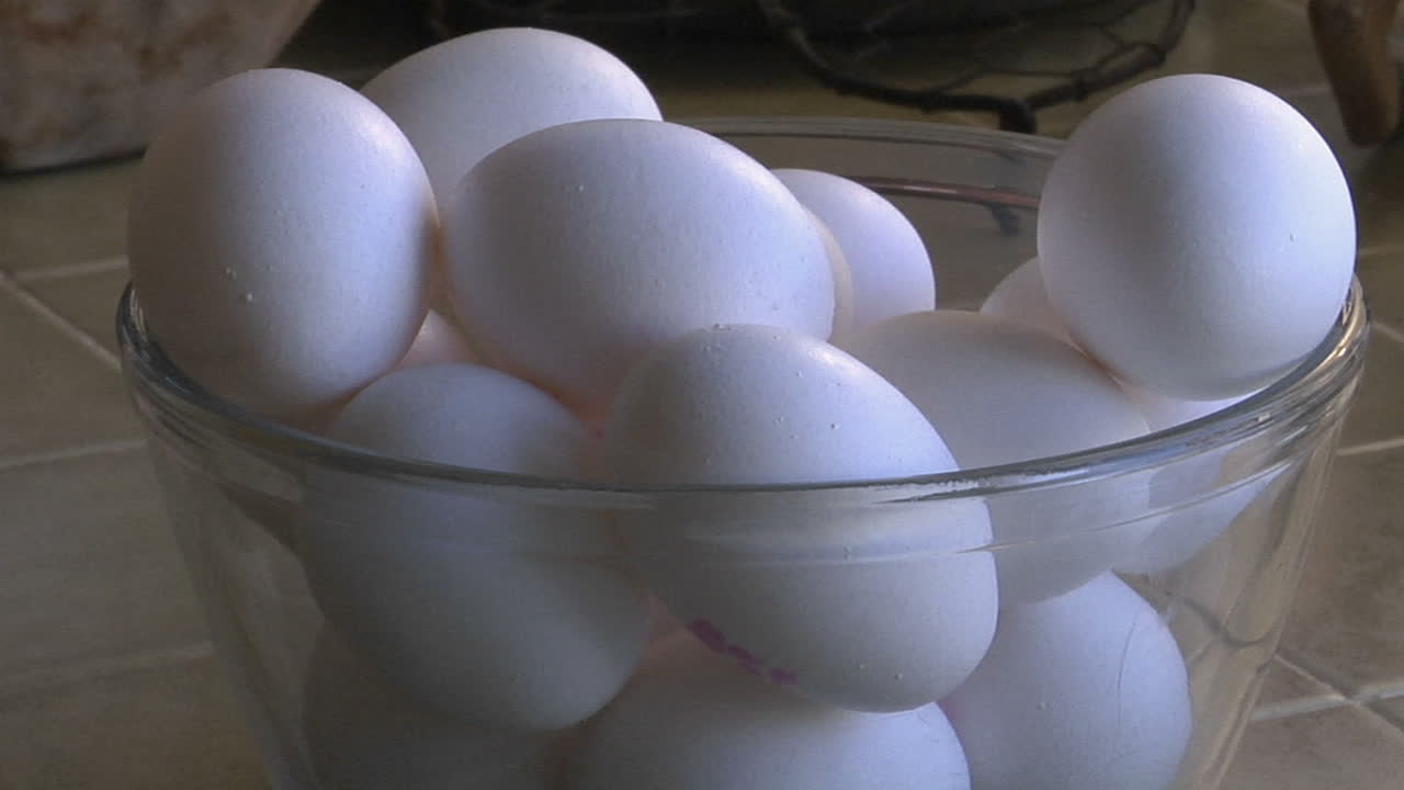 계란 그릇으로 천천히 이동