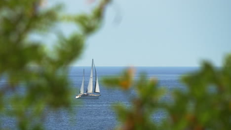 Blick-Durch-Äste-Auf-Die-Yacht,-Die-Im-Meer-Segelt