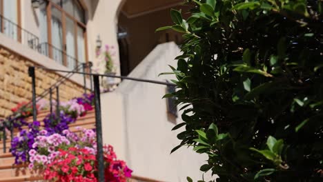 colorful flowers bloom on a sunny residential balcony