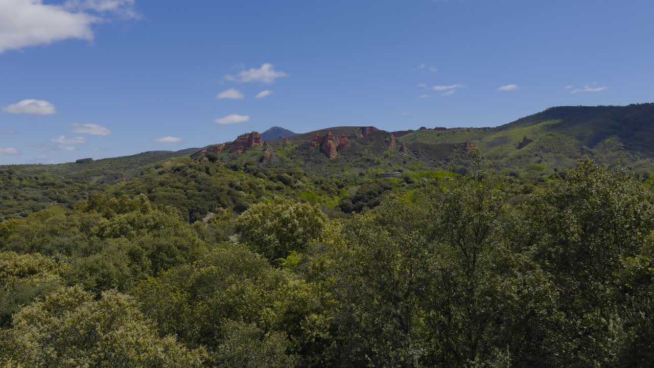 Gorgeous View Of A Forest Next To A Small Hill With Green Vegetation