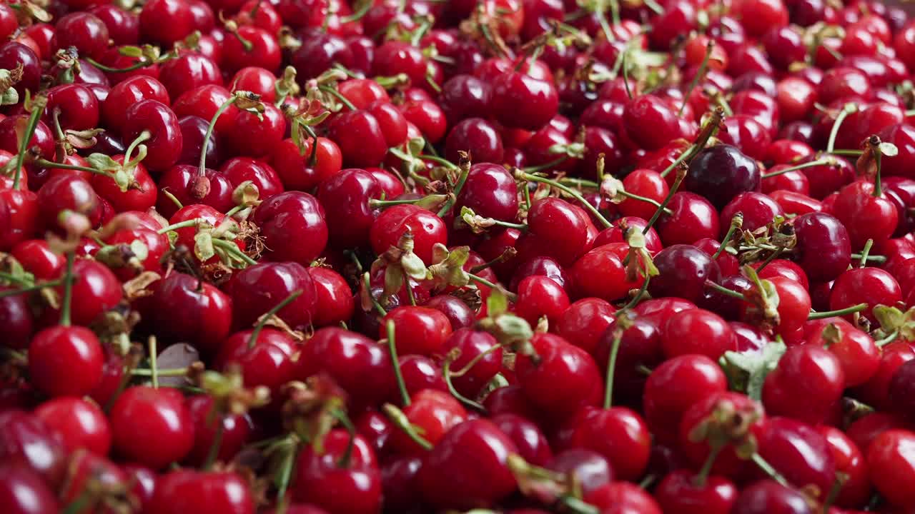 신선한 은 체리의 클로즈업