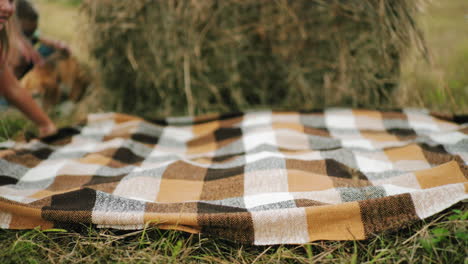 close-up of checkered blanket being spread on grassy ground with blurred view of person and dog in background, warm tones and soft texture create a cozy, inviting outdoor setting in rural farmland