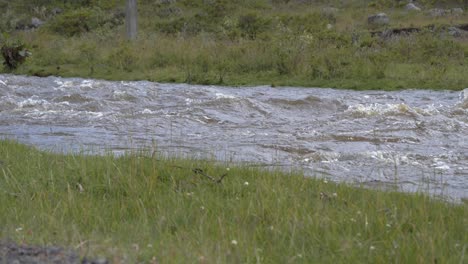 Verwackeltes-Video-Eines-Schnellen-Und-Gefährlichen-Flusses-Inmitten-Der-Natur