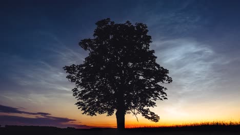 Nachtleuchtende-Wolkenbildung-über-Der-Silhouette-Des-Baumes-In-Feldern