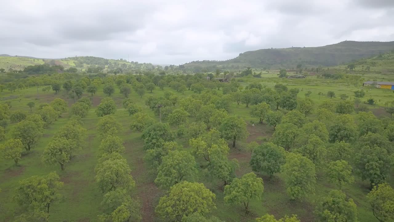 Lake and Flooded Plains in Countryside of Western Ghats, India, Aerial
