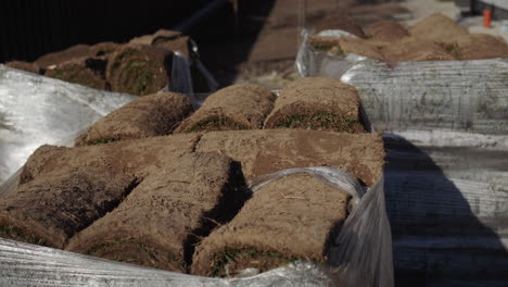 Rolls-of-living-lawn-with-soil.-Stacked-in-a-neat-stack-and-ready-to-be-shipped-to-the-customer