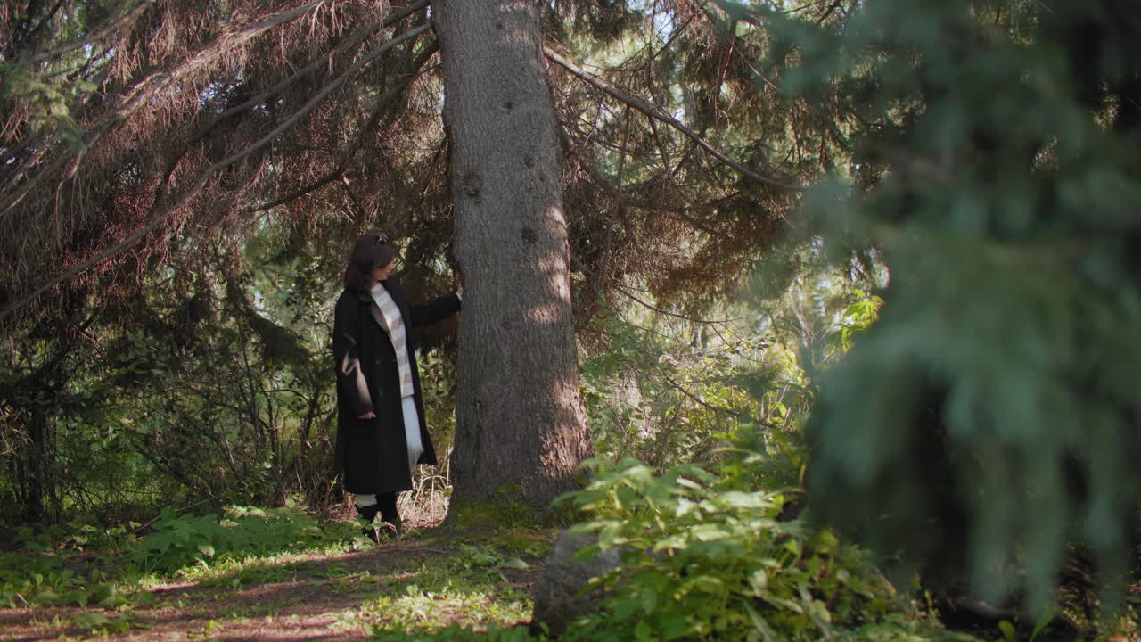 가을을 사랑하는 사람이 소나무를 향해 걸어가 따뜻한 햇살 아래 높이와 텍스처를 감상하며, 평온한 숲 속 빈터에서 겨울 코트를 입고 천천히 산책하며 마음챙김의 순간을 즐기면서 나무 줄기에 손을 얹어 껍질을 부드럽게 만지고 있어요.