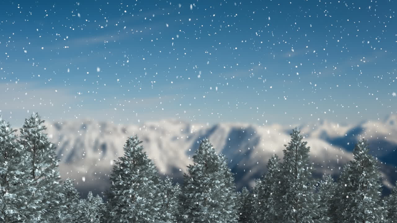 눈이 내리고 소나무들이