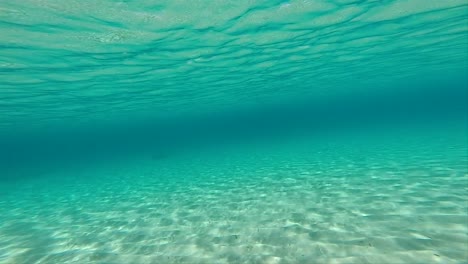 nuotare lungo il fondale marino pov 02