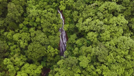 famous la fortuna waterfall costa rica, surrounded by green rainforest, 4k drone flyover