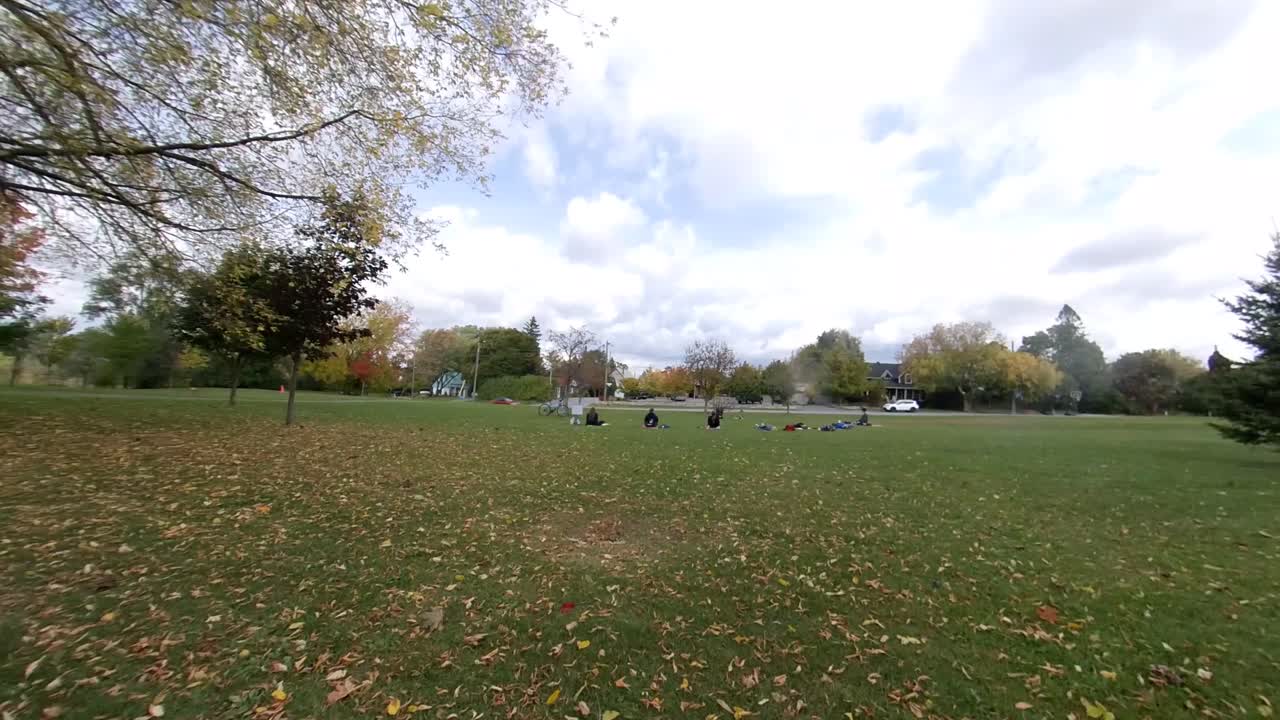 공원에서 요가를 하는 사람들의 가을 시즌 타임랩스