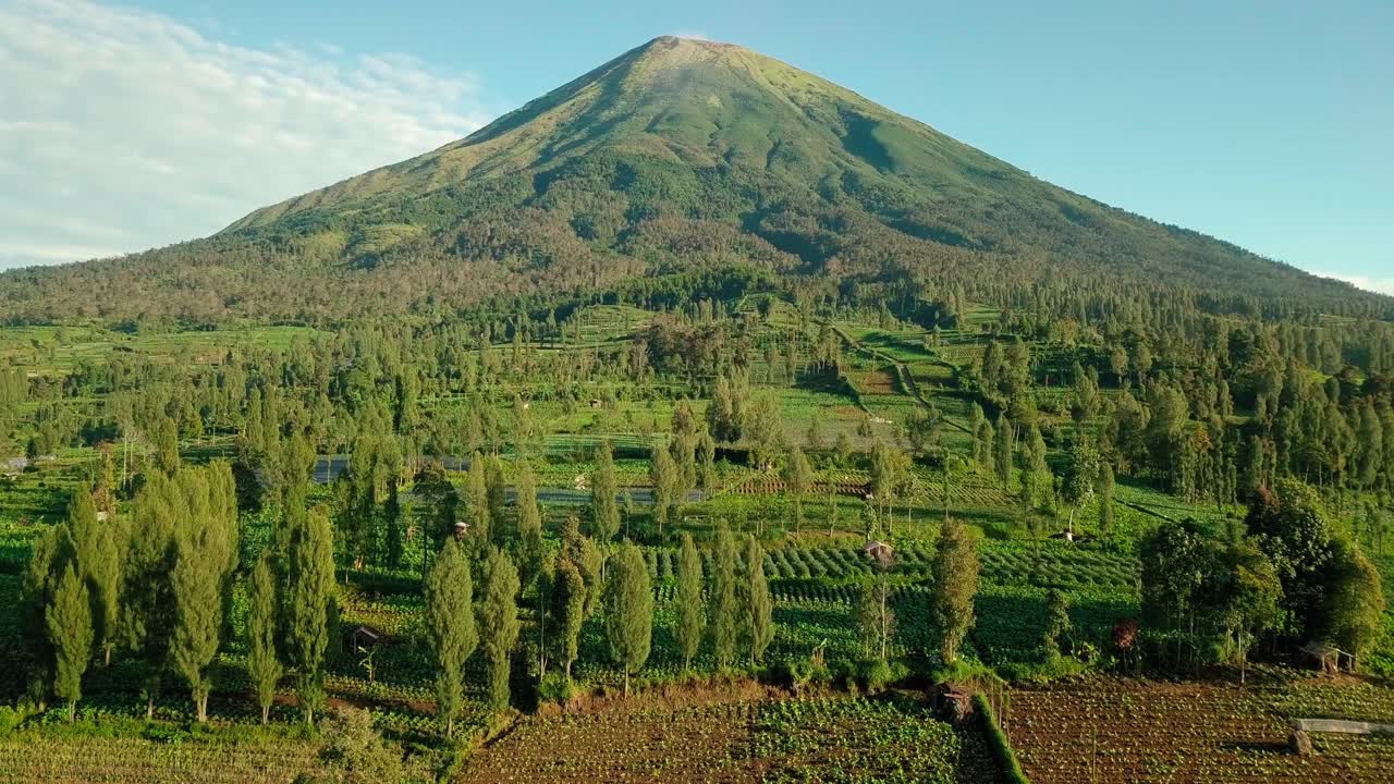 birds eye view over the vast plantations around the mighty mount sindoro near wonosobo in central java indonesia