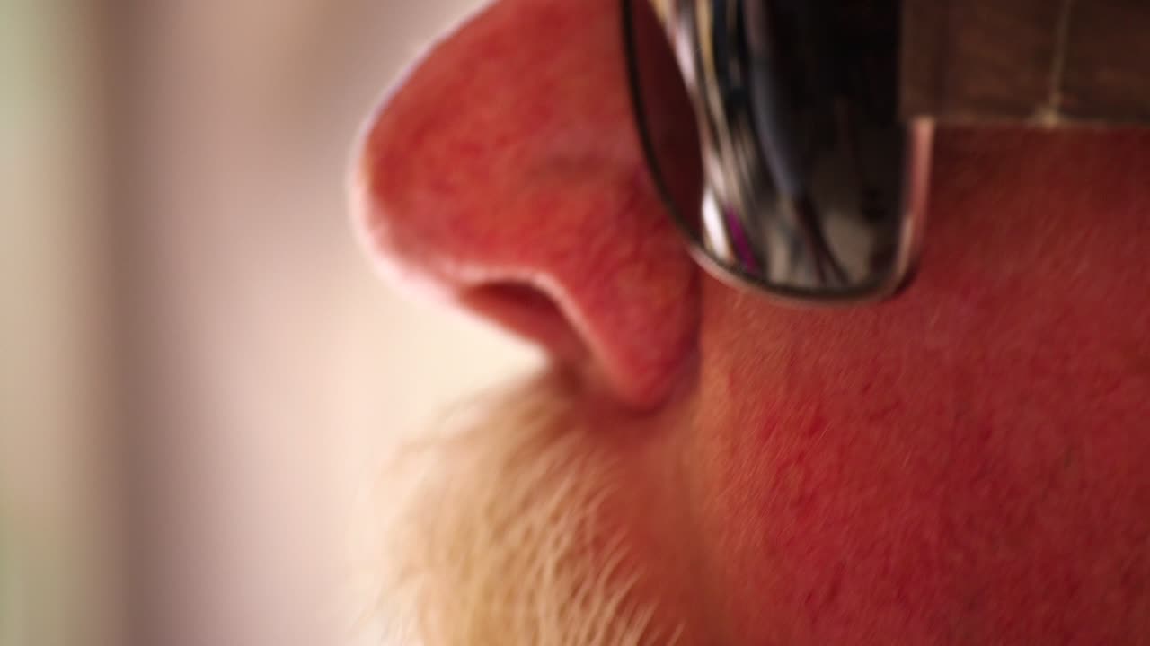 Older caucasian male with white beard adjusting sunglasses on his face
