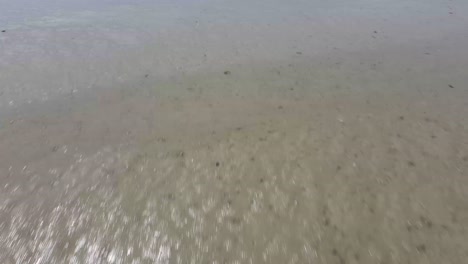 vuelo bajo y rápido de un dron sobre la arena húmeda y el barro que dejó la marea en retirada