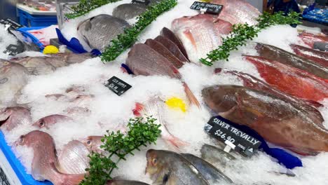 variety of seafood on ice at market