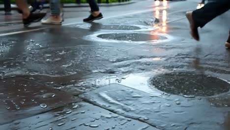 personas caminando bajo la lluvia en una calle húmeda