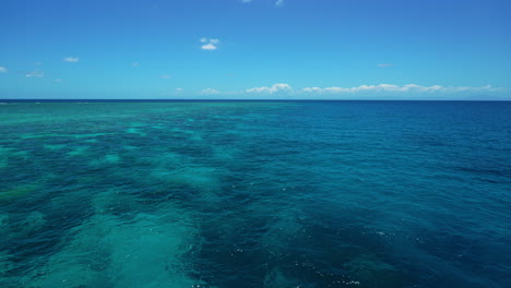 calm water at the great barrier reef in the coral sea