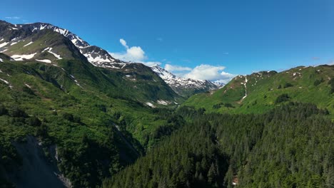 位於美國阿拉斯加肯奈峡谷國家公園 (kenai fjords national park) 常綠山脈上空的松樹