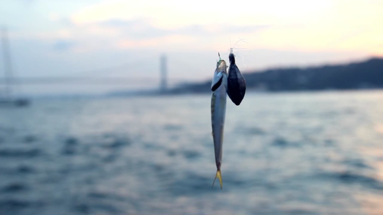 pesca en Estambul