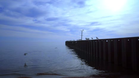 Gaviotas-En-El-Muelle-Marino-Al-Atardecer.-Cielo-Azul-Al-Atardecer-En-El-Mar.-Gaviotas-En-El-Muelle-Del-Mar