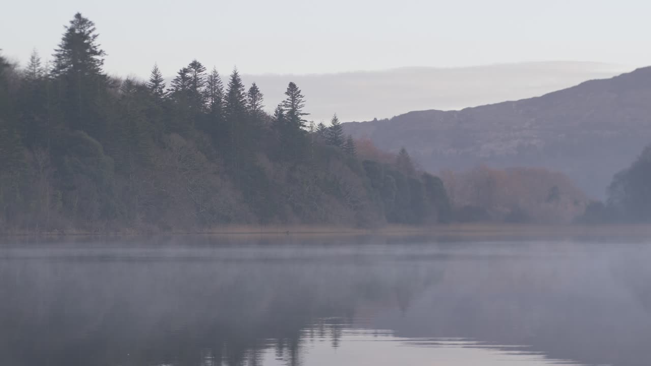 Fog drifting across the river with forest in background