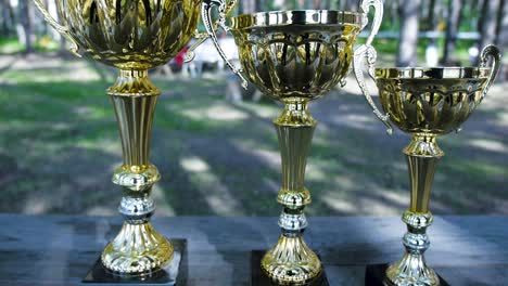 trophies in a forest picnic setting