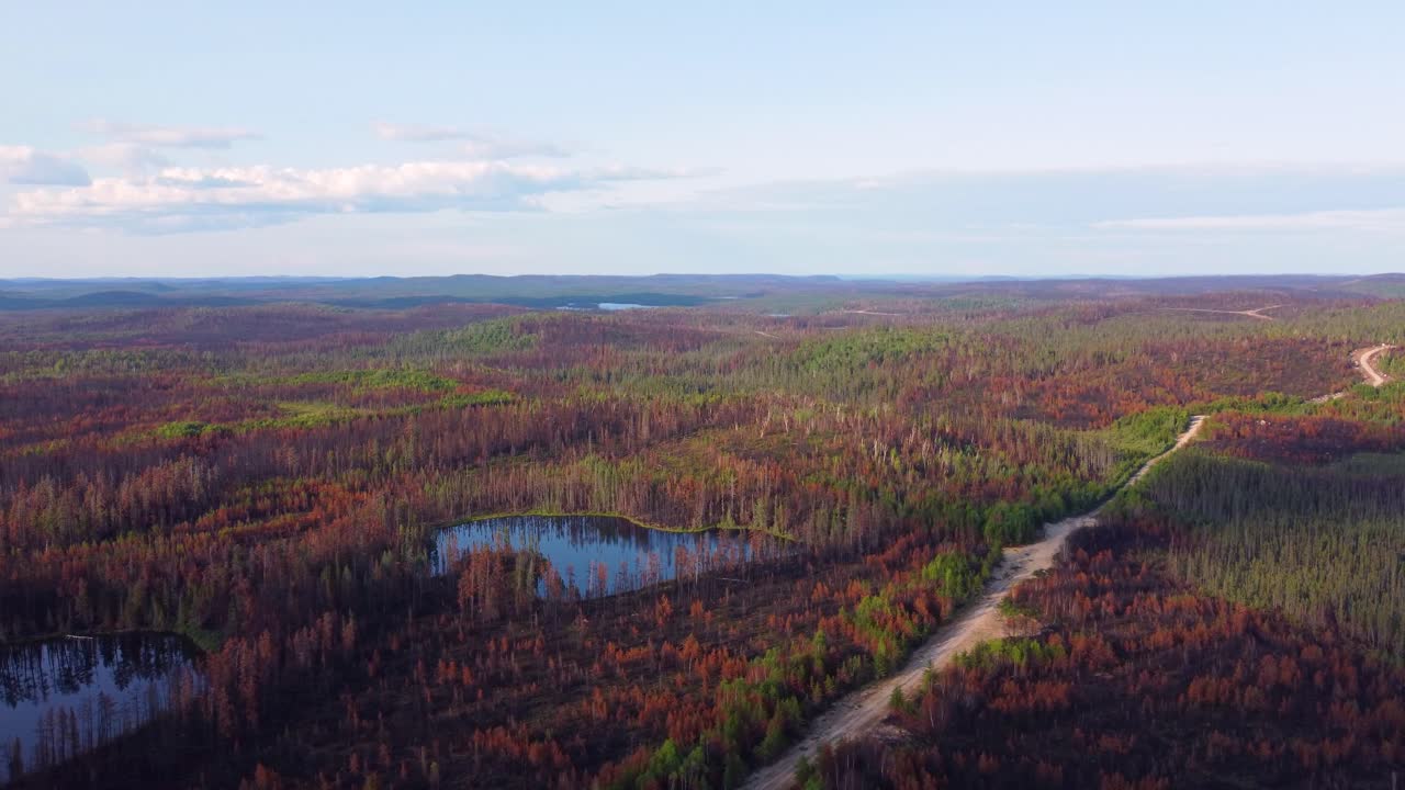 Paning Drone on Devastating Fire That Swept Through Quebec