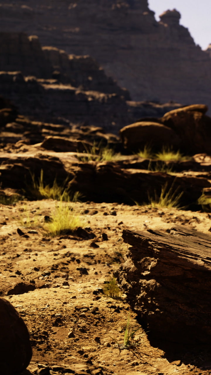 Landscape view with rocks and grass in a dry area during the day