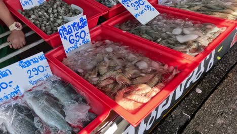 various seafood on ice at outdoor market stalls