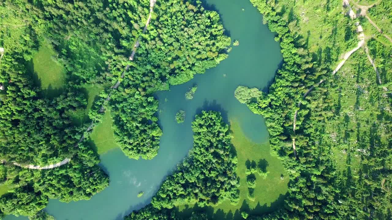 воздушный снимок озера черкника (словения), окруженного ярко-зеленым лесом