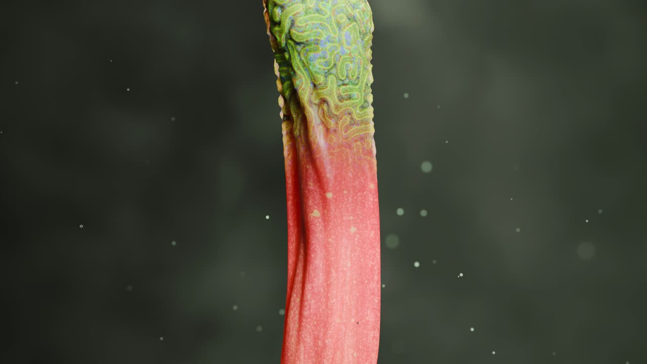 Fondo de textura abstracta