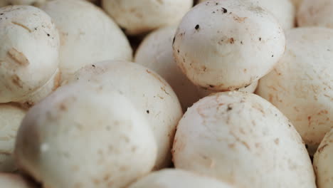 Fresh-mushrooms-on-a-table-1