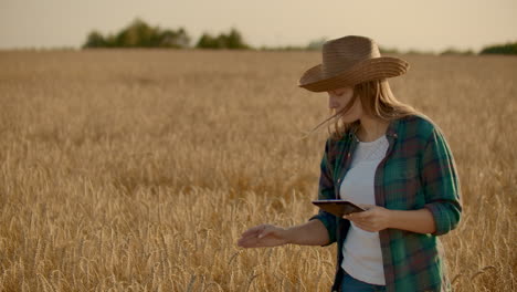 Joven-Agricultora-Trabajando-Con-Tableta-En-El-Campo-Al-Atardecer.-El-Propietario-De-Un-Concepto-De-Pequeña-Empresa.