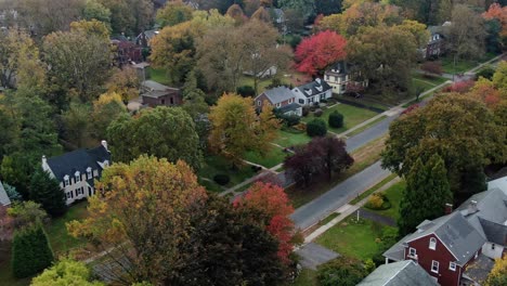 aerial view of fancy neighborhood with traditional houses and tree alleys